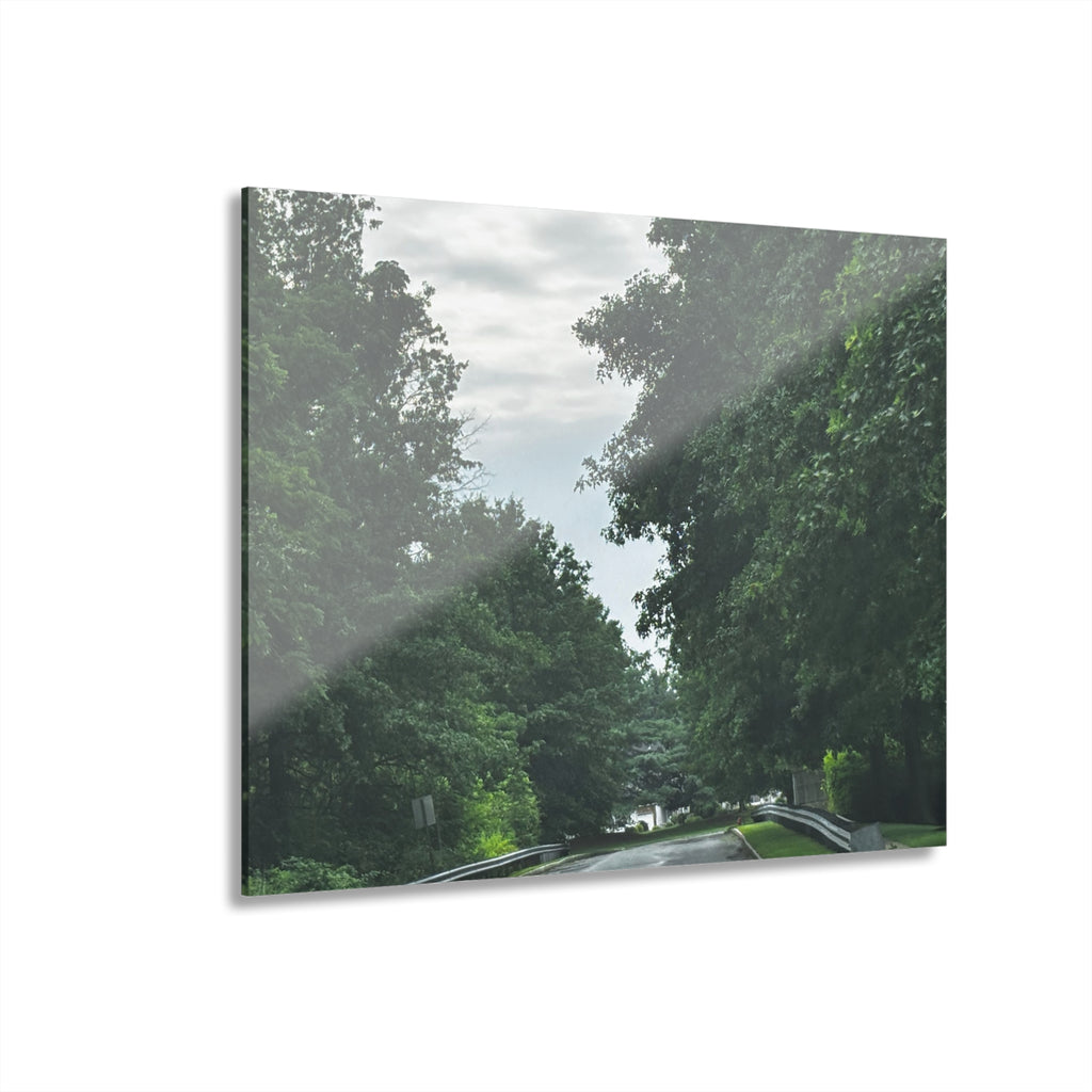 Road After Rain Acrylic Wall Art - Serene Road Photo