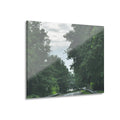Road After Rain Acrylic Wall Art - Serene Road Photo