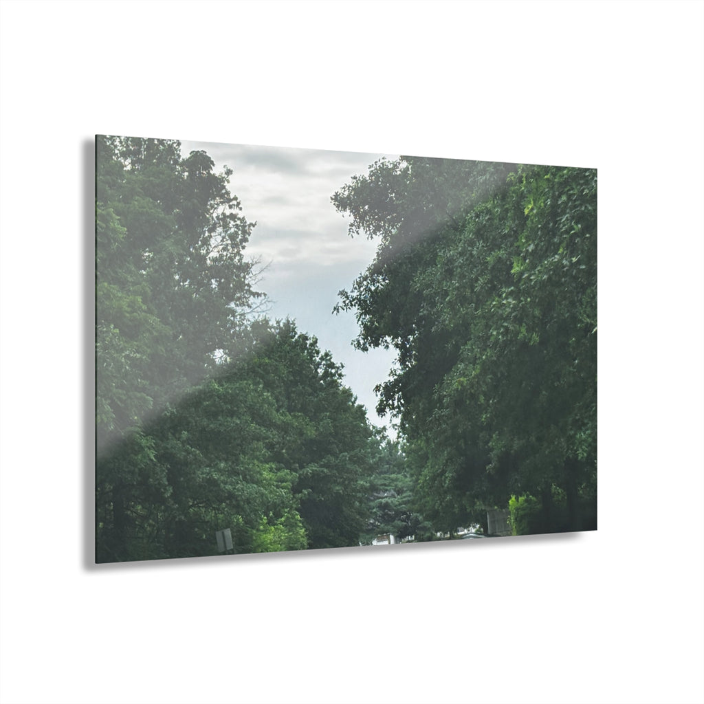 Road After Rain Acrylic Wall Art - Serene Road Photo