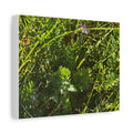 Sunlit Wildflower Meadow Canvas Print — Matte Stretched Wall Art