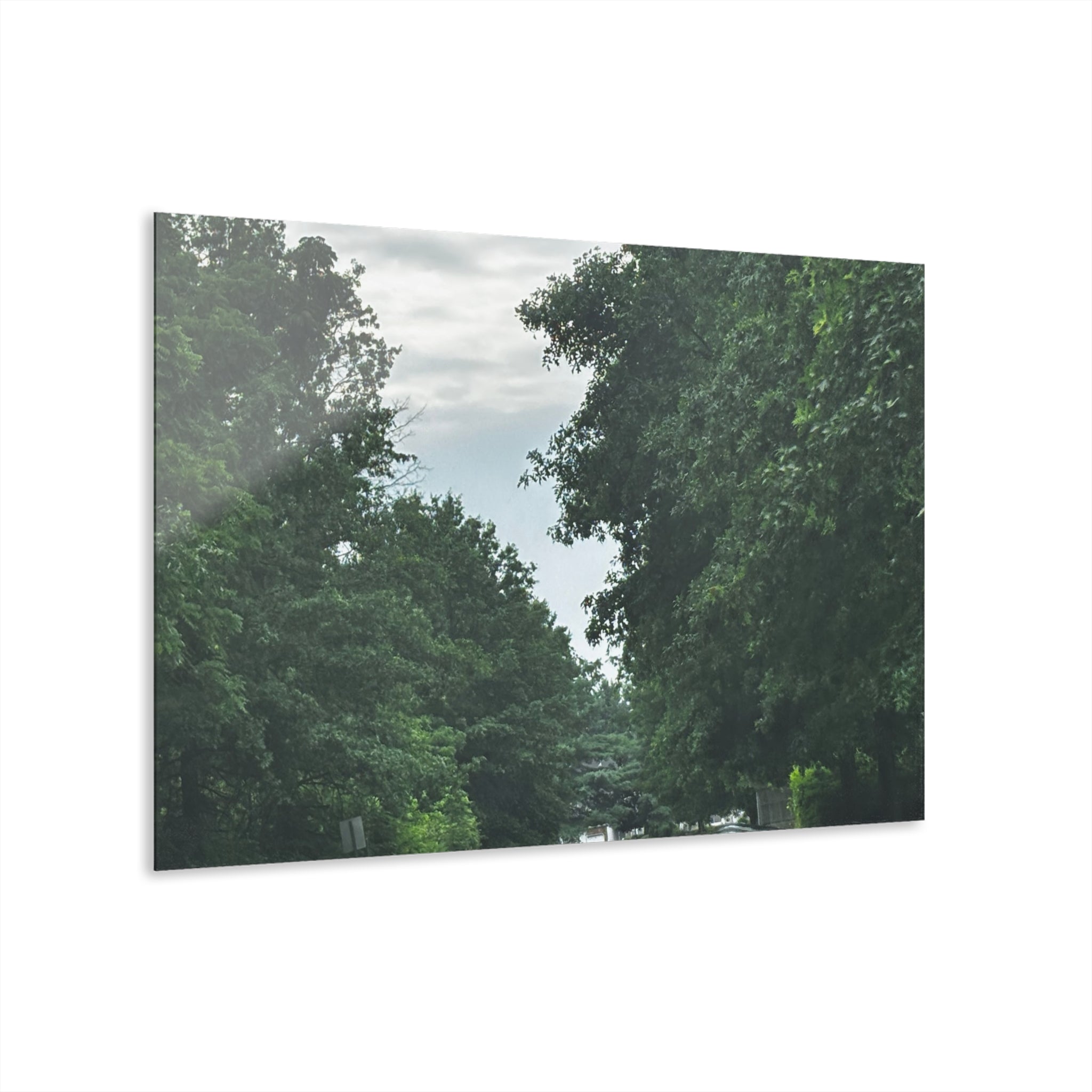 Road After Rain Acrylic Wall Art - Serene Road Photo