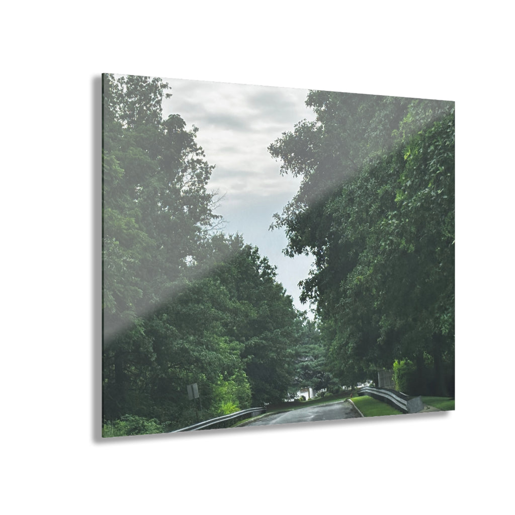 Road After Rain Acrylic Wall Art - Serene Road Photo
